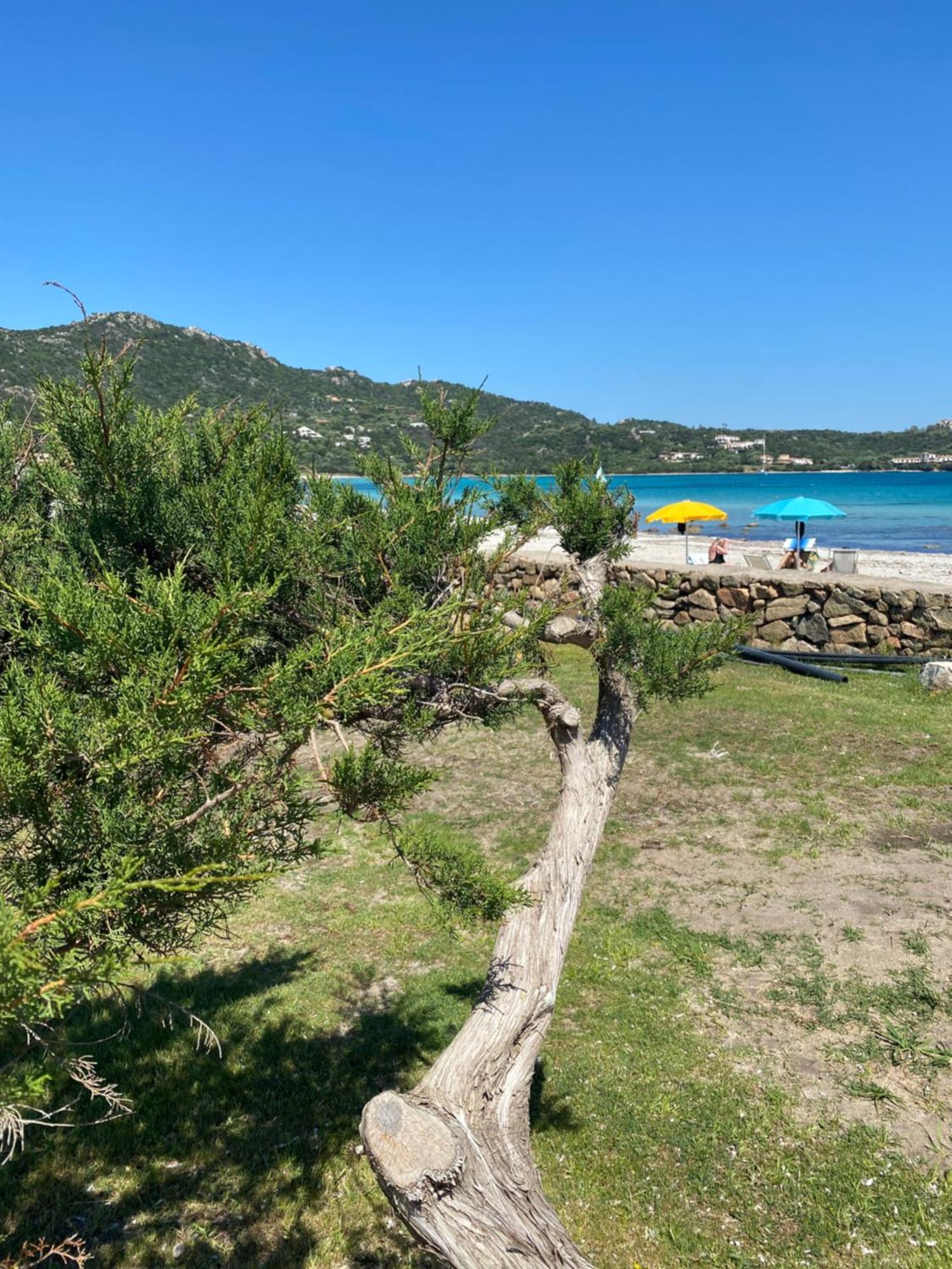 Camere Cala Reale Marinella Marinella  Esterno foto